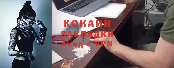 трава Гусев