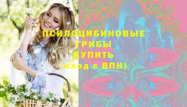 трава Гусев