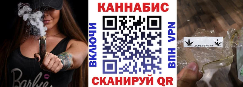 Конопля сатива  Купить закладки  Новая Ладога 